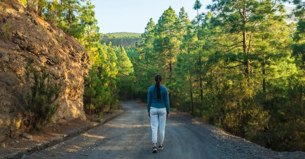 A woman in a track jacket walking away from the camera up a sunlit dirt road through a pine forest
