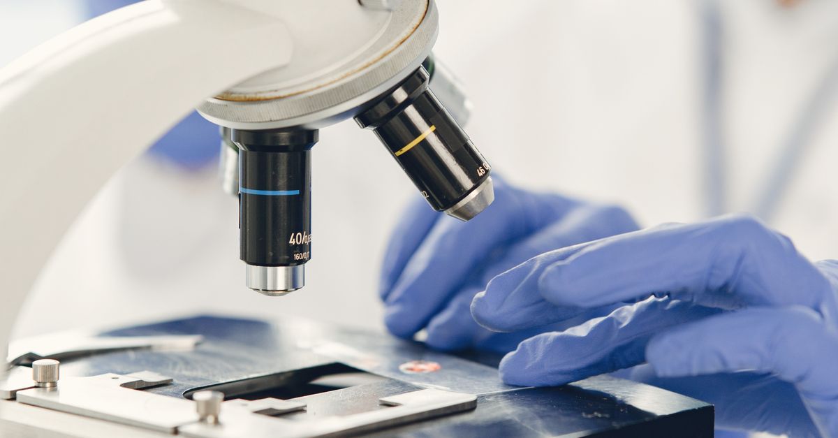 Close-up of a laboratory microscope objective turret above a slide stage, with a researcher's blue-gloved hands positioning the specimen slide